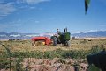 stake farm tractor